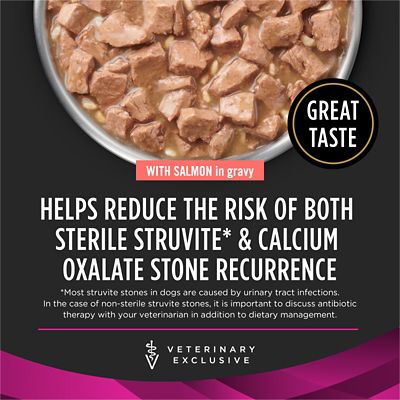 Image showing  Veterinary Diets UR Urinary Ox/St Savory Selects Adult Salmon in Gravy Wet Dog Food, 13.3 oz., Pack of 12 Cans