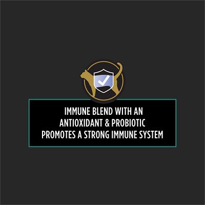 Image showing  Veterinary Supplements Multi Care Immune + Gut Probiotic Supplement for Cats, 30 Sachets