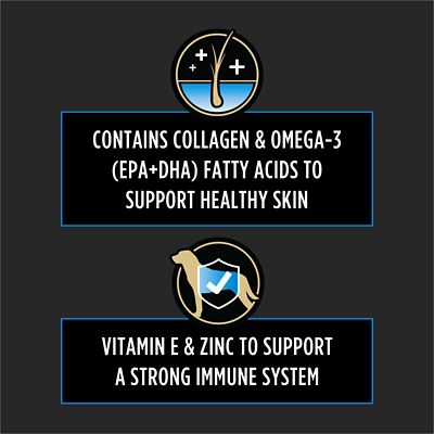 Image showing  Veterinary Supplements Skin Care Chewable Supplement for Dogs