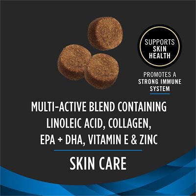 Image showing  Veterinary Supplements Skin Care Chewable Supplement for Dogs