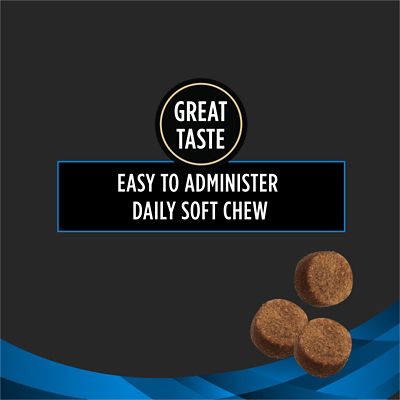 Image showing  Veterinary Supplements Skin Care Chewable Supplement for Dogs