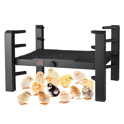 Image showing  Brooder and Coop Heater