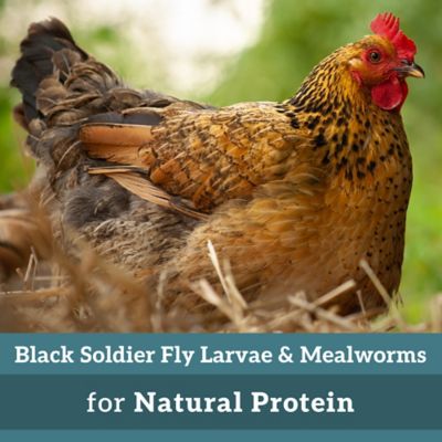 Image showing  Crawler Crunch Chicken Treats, 11 lb.