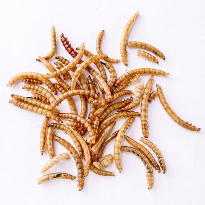 Image showing 9 th ImPECKables Crawler Crunch Chicken Treats, 11 lb.