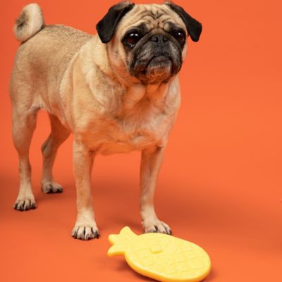 Image showing  Yellow Pineapple with Bacon Flavor Tough Dog Chew Toy