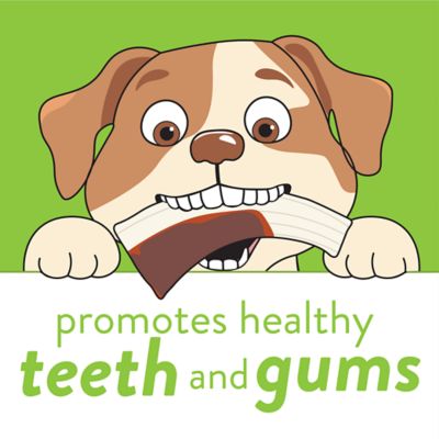 Image showing  Snack Chew Antler Flavored Chew Toy, Small