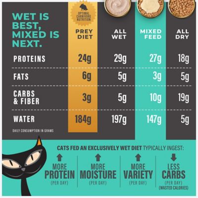 Image showing 6 th Tiki Cat Solutions Topper Skin Coat Salmon Recipe in Broth Wet Cat Food, 1.5 oz.