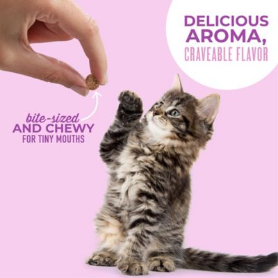 Image showing  Soft & Chewy Treats, Chicken Flavor, 2 oz.