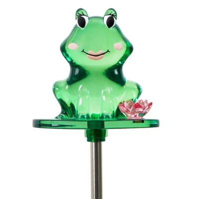 Image showing  Solar Frog