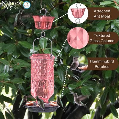 Image showing  Rose Glass Hummingbird Feeder with Ant Moat, 23 oz.