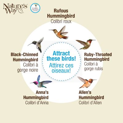 Image showing 5 th Nature's Way Rose Glass Hummingbird Feeder with Ant Moat, 23 oz.