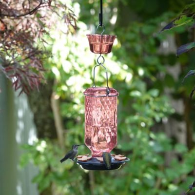 Image showing 7 th Nature's Way Rose Glass Hummingbird Feeder with Ant Moat, 23 oz.