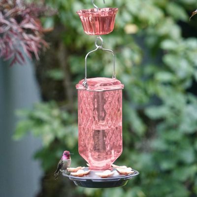 Image showing 8 th Nature's Way Rose Glass Hummingbird Feeder with Ant Moat, 23 oz.