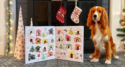 Image showing  25 Day Advent Calendar Dog Treats