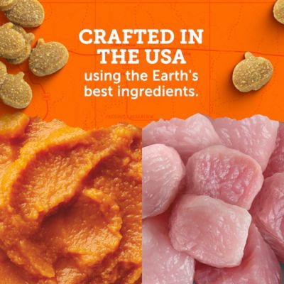 Image showing  Mini Naturals Turkey & Pumpkin Recipe Dog Treats, 5 oz.