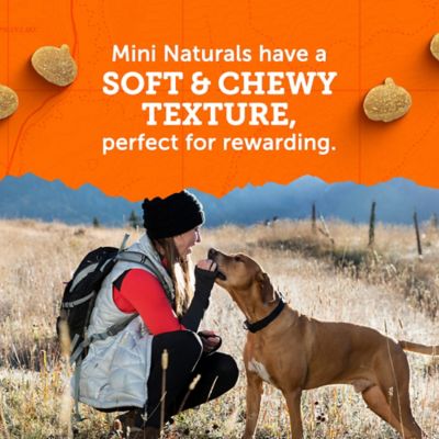 Image showing  Mini Naturals Turkey & Pumpkin Recipe Dog Treats, 5 oz.