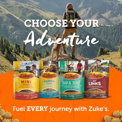 Image showing 7 th Zuke's Mini Naturals Turkey & Pumpkin Recipe Dog Treats, 5 oz.