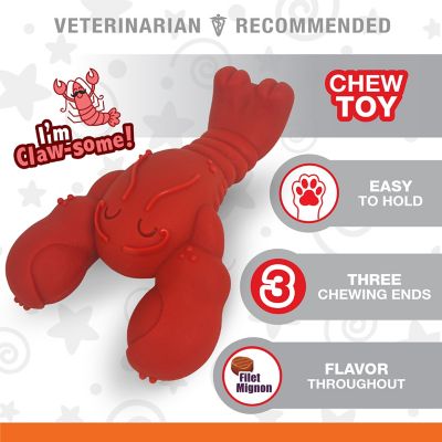Image showing  Power Chew Lobster Dog Chew Toy
