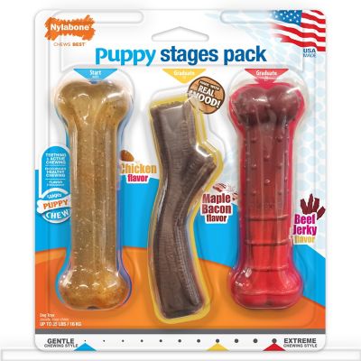 Nylabone Puppy Triple Chewy/ Chew Stages Dog Chew Toy