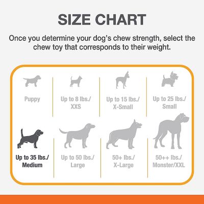 Image showing  Puppy Triple Chewy/ Chew Stages Dog Chew Toy