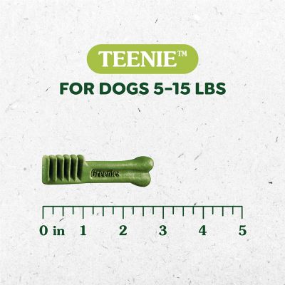 Image showing  Holiday Dental Dog Treats, Teenie, 6 oz.