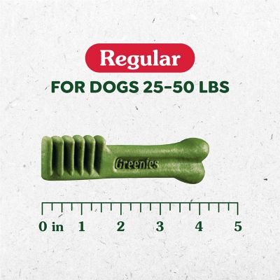 Image showing  Holiday Dental Dog Treats, Regular, 6 oz.