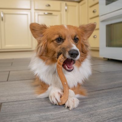 Image showing  Flip & Chew Medium Brown Dog Chew Toy