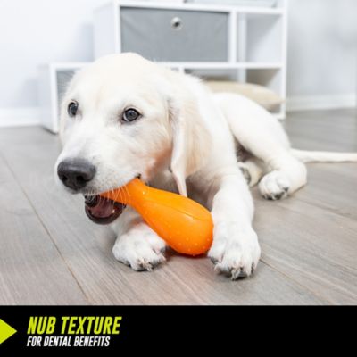 Image showing  Hyper-Bonz Turkey Scented Drumstick Crunch Bone Toy