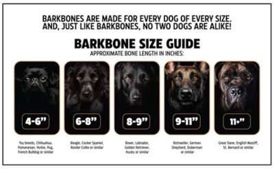 Image showing  Rawhide Bacon Flavor Dog Chew Toy, Large