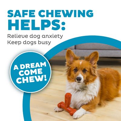 Image showing  Dogwood Hold & Chew Chewing Toy, Large, Brown