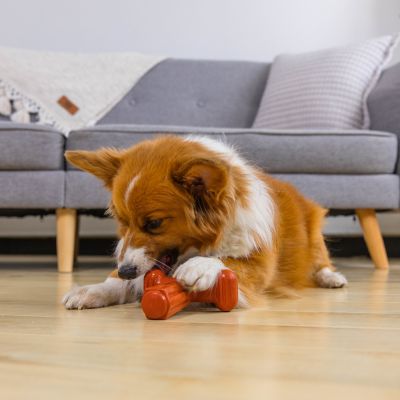 Image showing  Dogwood Hold & Chew Chewing Toy, Large, Brown