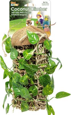 Reptology Coconut Hideaway