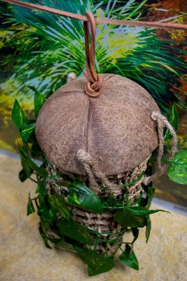 Image showing  Coconut Hideaway