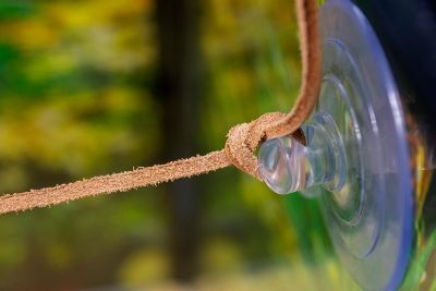 Image showing  Coconut Hideaway