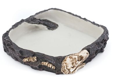 Reptology Fossil Rock Bowl, Large