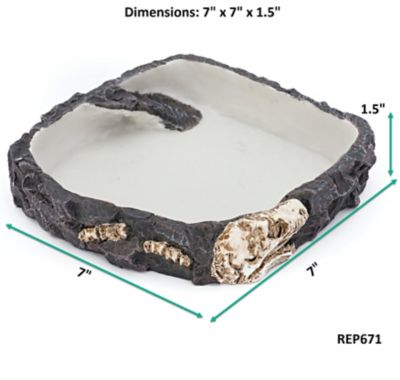 Image showing  Fossil Rock Bowl, Large