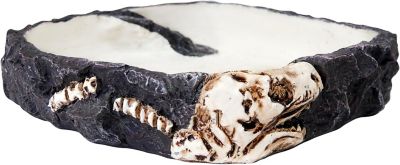 Image showing  Fossil Rock Bowl, Large