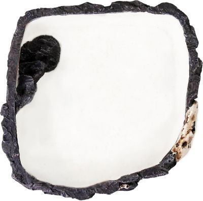 Image showing  Fossil Rock Bowl, Large