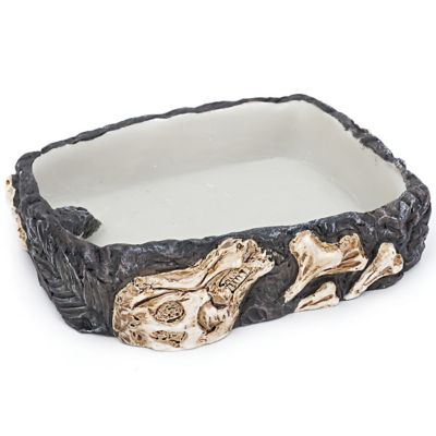 Reptology Fossil Rock Bowl, Small