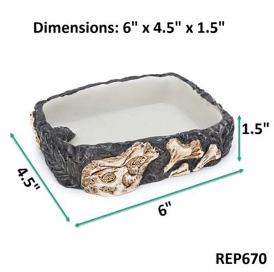 Image showing  Fossil Rock Bowl, Small