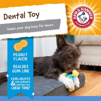 Image showing 5 th Arm & Hammer Nubbies Triobone Dental Toy