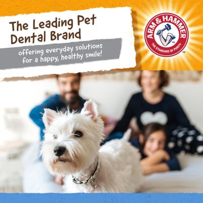 Image showing 6 th Arm & Hammer Nubbies Triobone Dental Toy