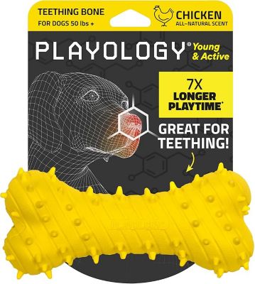 Playology Teething Bone Chicken Jumbo