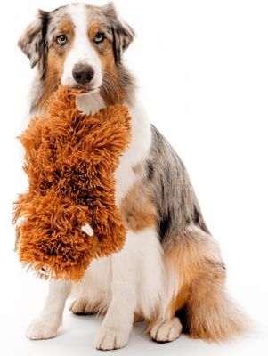 Image showing  Plush Highland Cow Beef Jumbo