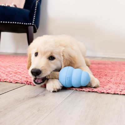 Image showing  Ziggies Enhanced Puppy, Medium/Large 8 oz.