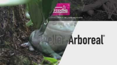 Image showing  8W SD UV Lamp 2.4% Arboreal