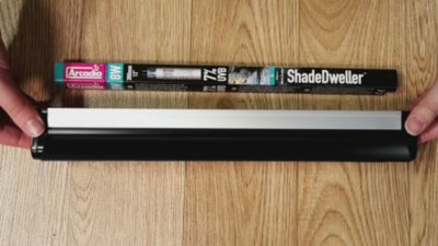 Image showing  8W SD UV Lamp 2.4% Arboreal