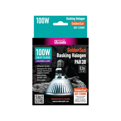 Image showing  100W Golden Sun Colored Bask Halogen