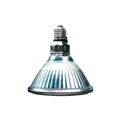 Image showing  100W Golden Sun Colored Bask Halogen