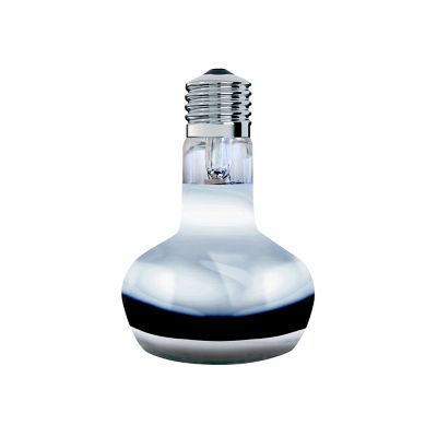 Image showing  100W Golden Sun Colored Bask Spot